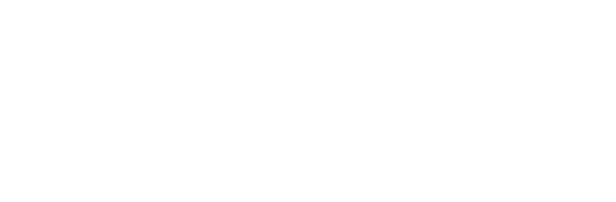 Leonardo Ruiz Inversionista